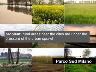 problem: rural areas near the cites are under the
pressure of the urban sprawl




                              Parco Sud Milano
 