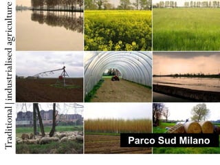 Traditional|industrialised agriculture




Parco Sud Milano
 