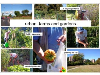 urban farms and gardens
 
