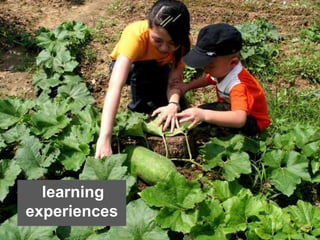 learning
experiences
 