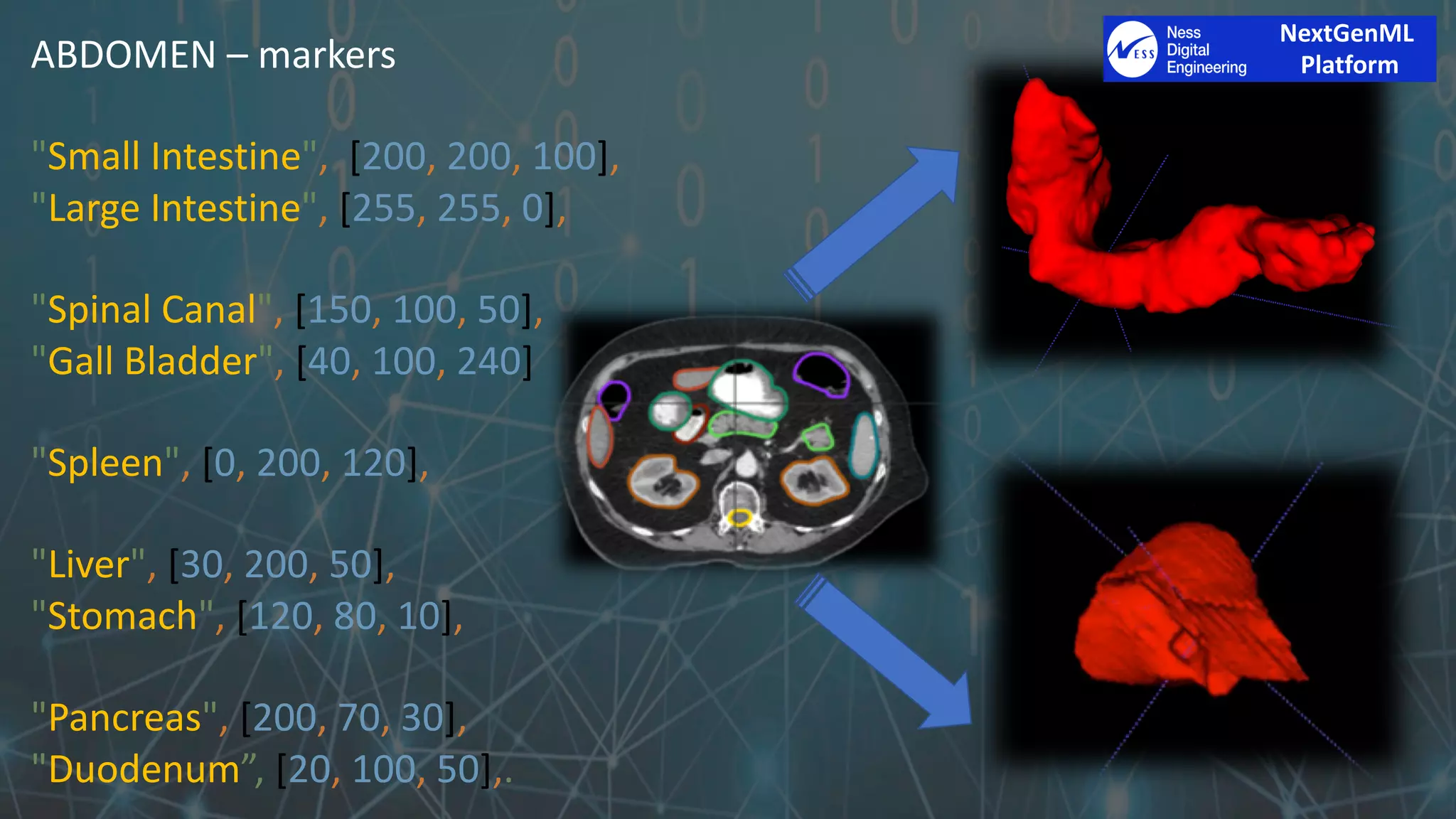 ABDOMEN – markers
"Small Intestine", [200, 200, 100],
"Large Intestine", [255, 255, 0],
"Spinal Canal", [150, 100, 50],
"Gall Bladder", [40, 100, 240]
"Spleen", [0, 200, 120],
"Liver", [30, 200, 50],
"Stomach", [120, 80, 10],
"Pancreas", [200, 70, 30],
"Duodenum”, [20, 100, 50],.
NextGenML
Platform
 