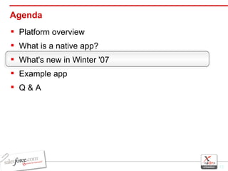 Agenda Platform overview What is a native app? What's new in Winter '07 Example app Q & A 