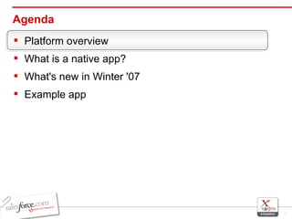 Agenda Platform overview What is a native app? What's new in Winter '07 Example app 