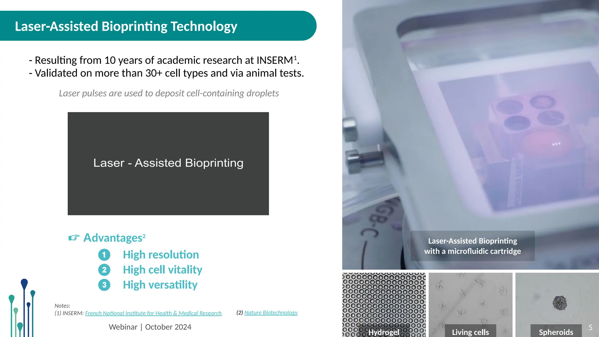 Next Generation Bioprinting Platform - A Multimodal Approach for ...