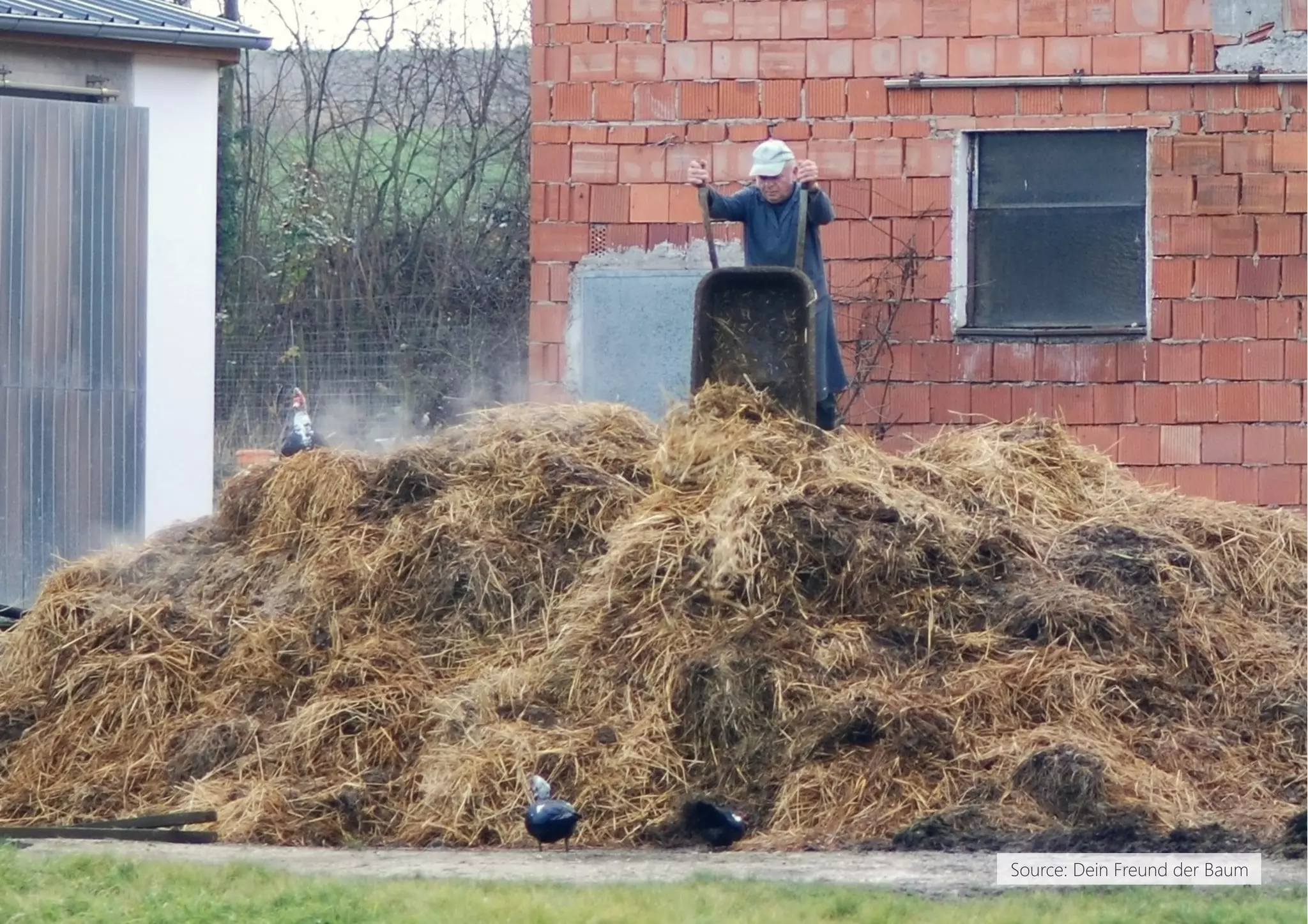 Source: Dein Freund der Baum
 