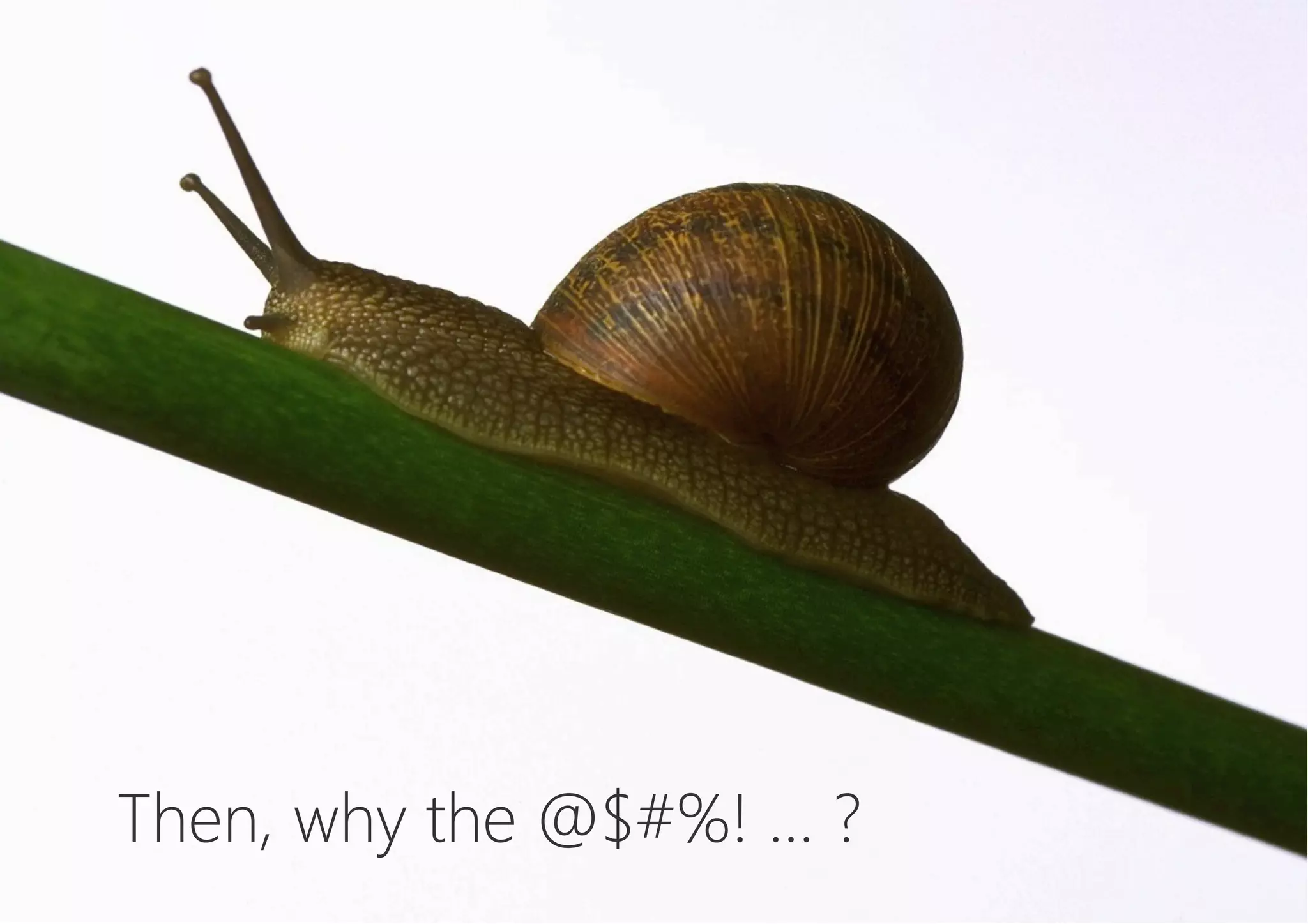 Then, why the @$#%! … ?
 