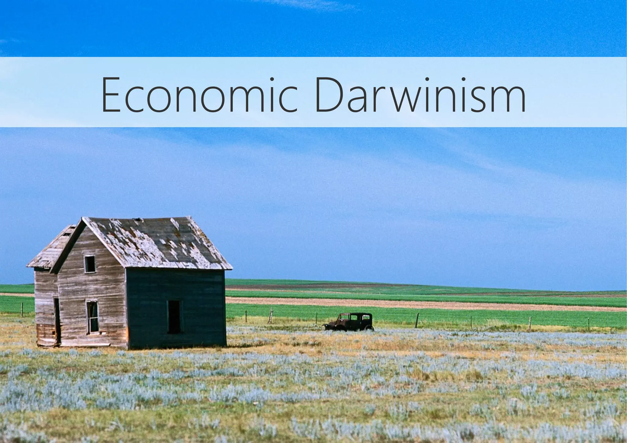 Economic Darwinism
 