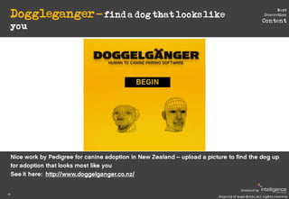 Doggleganger – find a dog that looks like
                                                                               N...
