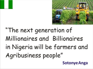 Next generation of billionaires in nigeria by sotonye anga