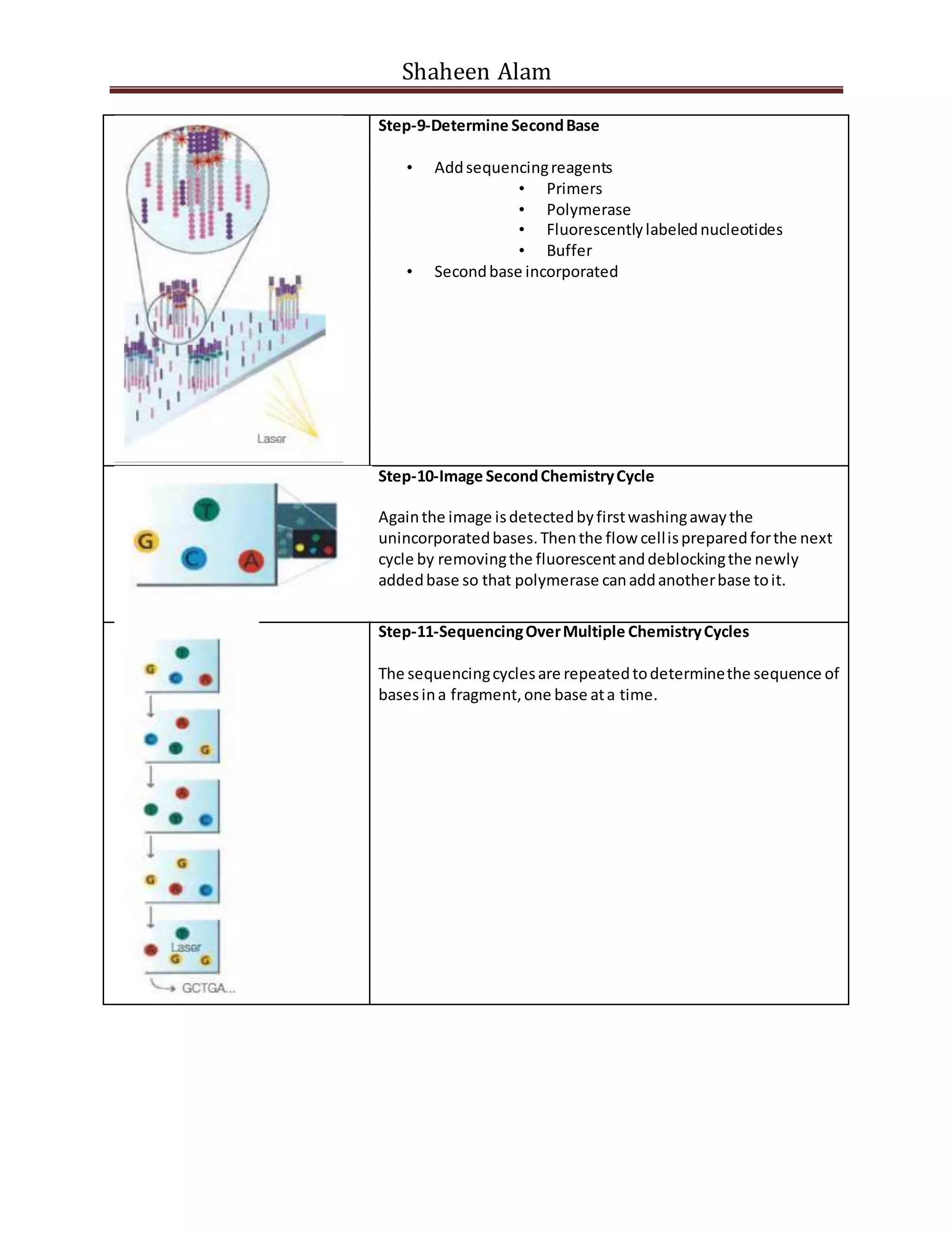 Shaheen Alam
Step-9-Determine SecondBase
• Addsequencingreagents
• Primers
• Polymerase
• Fluorescentlylabelednucleotides
• Buffer
• Secondbase incorporated
Step-10-Image SecondChemistryCycle
Againthe image isdetectedbyfirstwashingawaythe
unincorporatedbases.Thenthe flow cellispreparedforthe next
cycle by removingthe fluorescentanddeblockingthe newly
addedbase so that polymerase canaddanotherbase toit.
Step-11-SequencingOverMultiple ChemistryCycles
The sequencingcyclesare repeatedtodeterminethe sequence of
basesina fragment,one base ata time.
 
