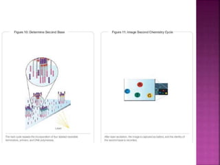 Next generation sequencing | PPTX