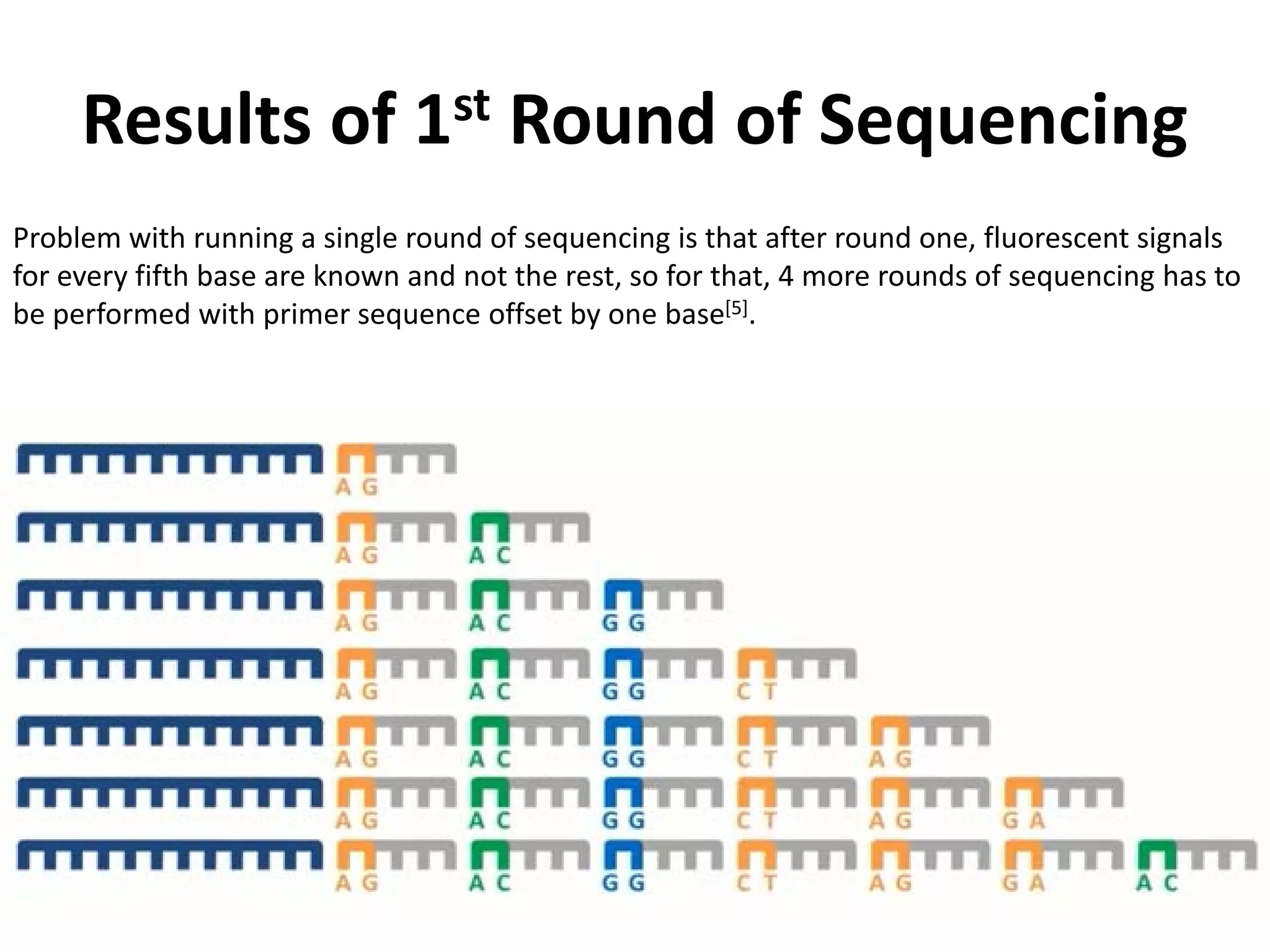 Results of 1st Round of Sequencing
Problem with running a single round of sequencing is that after round one, fluorescent signals
for every fifth base are known and not the rest, so for that, 4 more rounds of sequencing has to
be performed with primer sequence offset by one base[5].
 