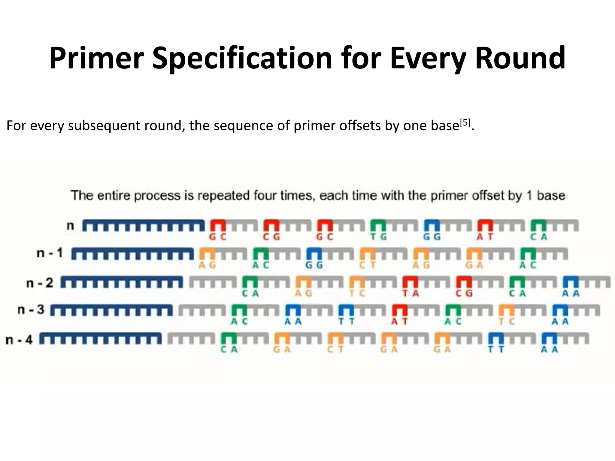 Primer Specification for Every Round
For every subsequent round, the sequence of primer offsets by one base[5].
 