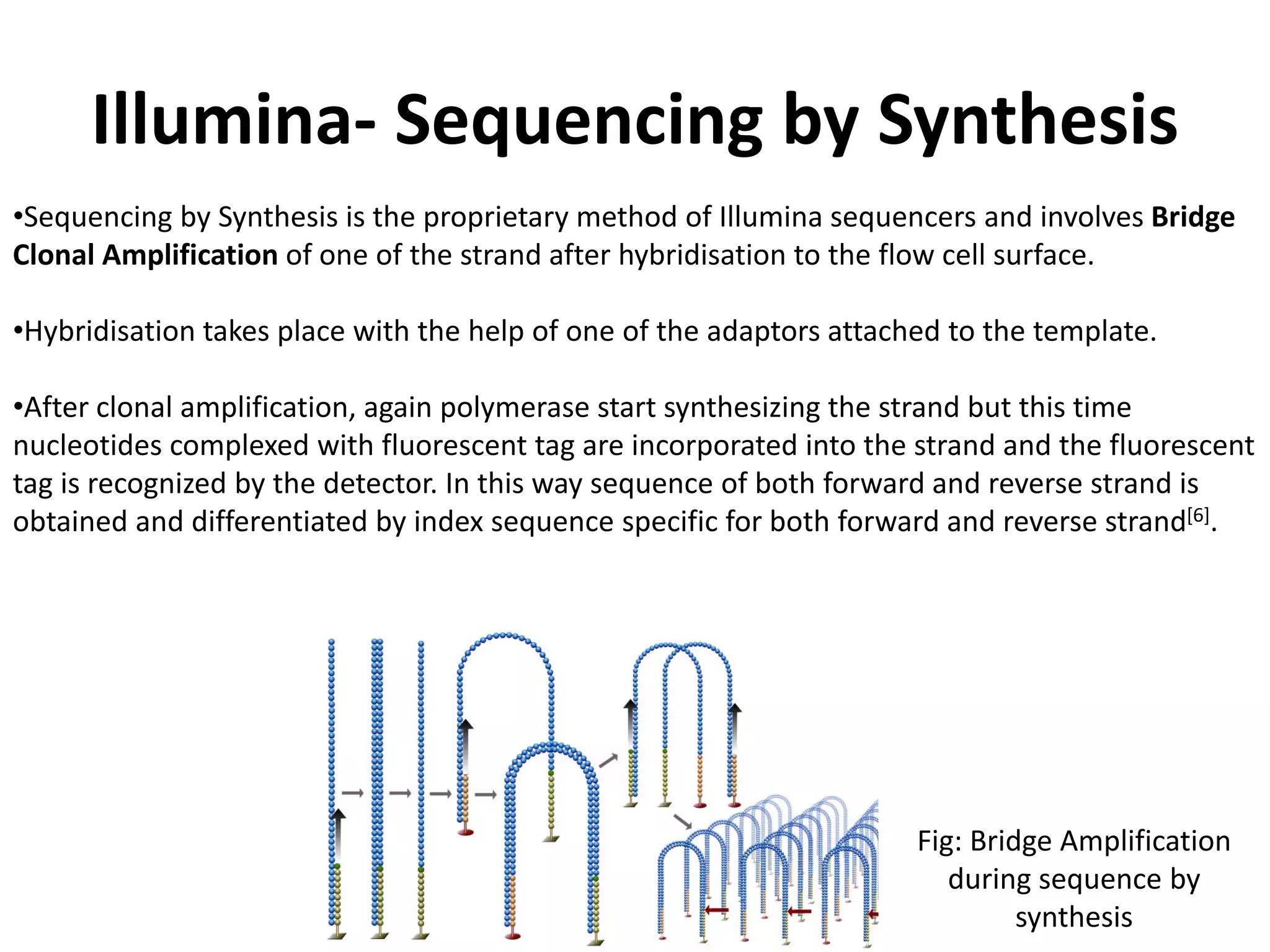 Illumina- Sequencing by Synthesis
•Sequencing by Synthesis is the proprietary method of Illumina sequencers and involves Bridge
Clonal Amplification of one of the strand after hybridisation to the flow cell surface.
•Hybridisation takes place with the help of one of the adaptors attached to the template.
•After clonal amplification, again polymerase start synthesizing the strand but this time
nucleotides complexed with fluorescent tag are incorporated into the strand and the fluorescent
tag is recognized by the detector. In this way sequence of both forward and reverse strand is
obtained and differentiated by index sequence specific for both forward and reverse strand[6].
Fig: Bridge Amplification
during sequence by
synthesis
 