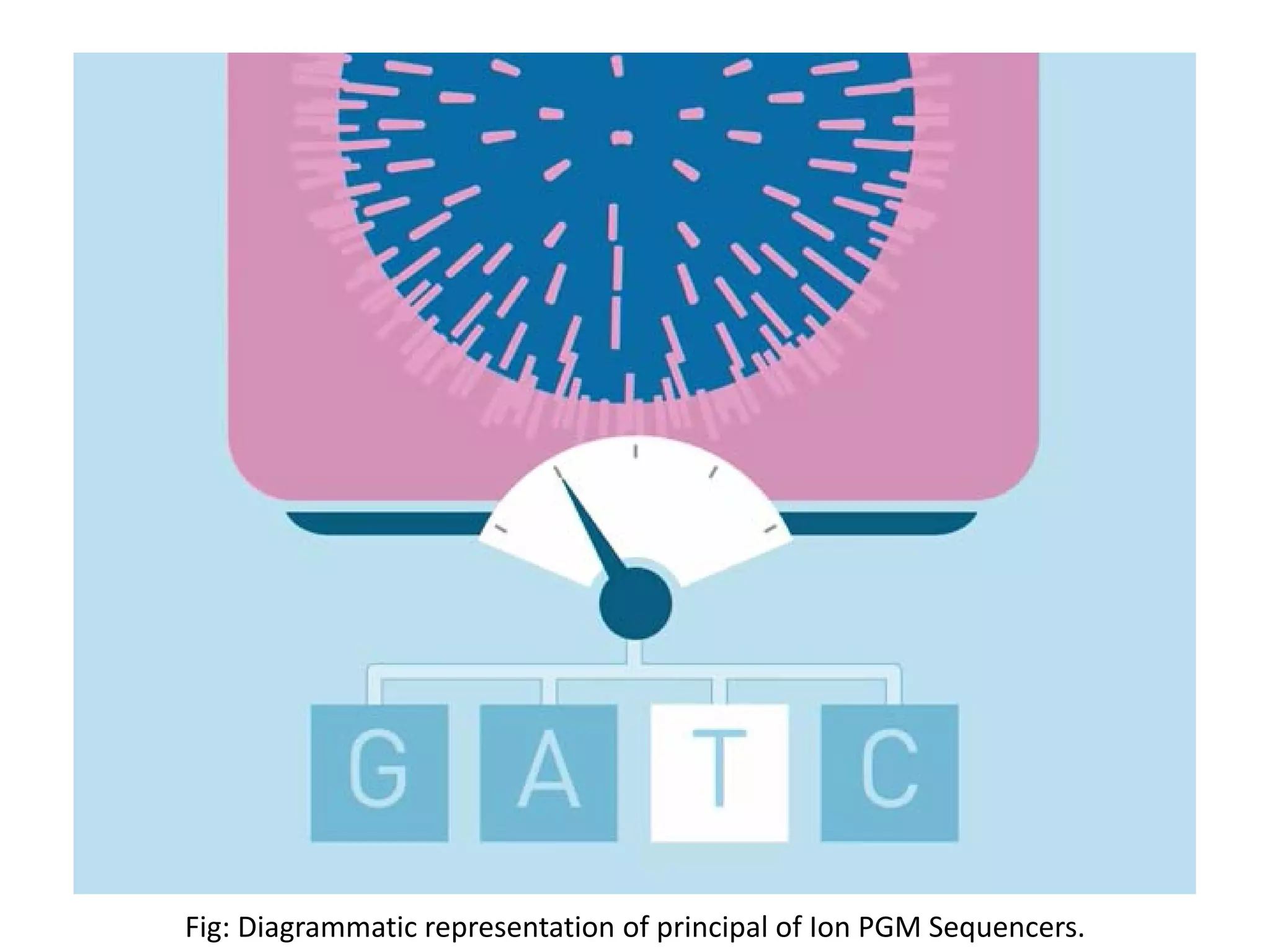 Fig: Diagrammatic representation of principal of Ion PGM Sequencers.
 