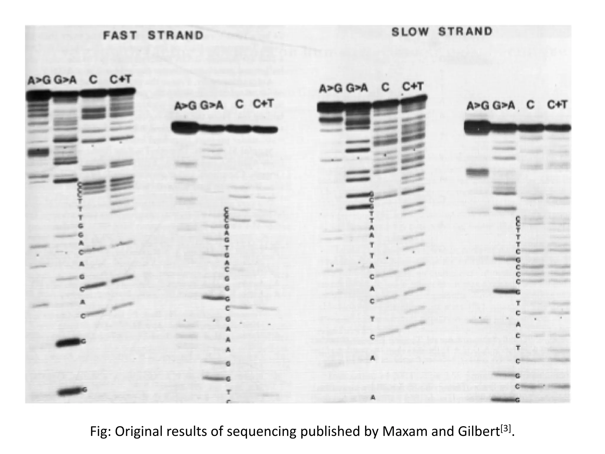 Fig: Original results of sequencing published by Maxam and Gilbert[3].
 