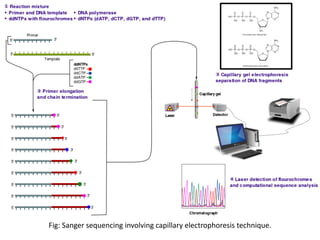 Next generation sequencing | PDF