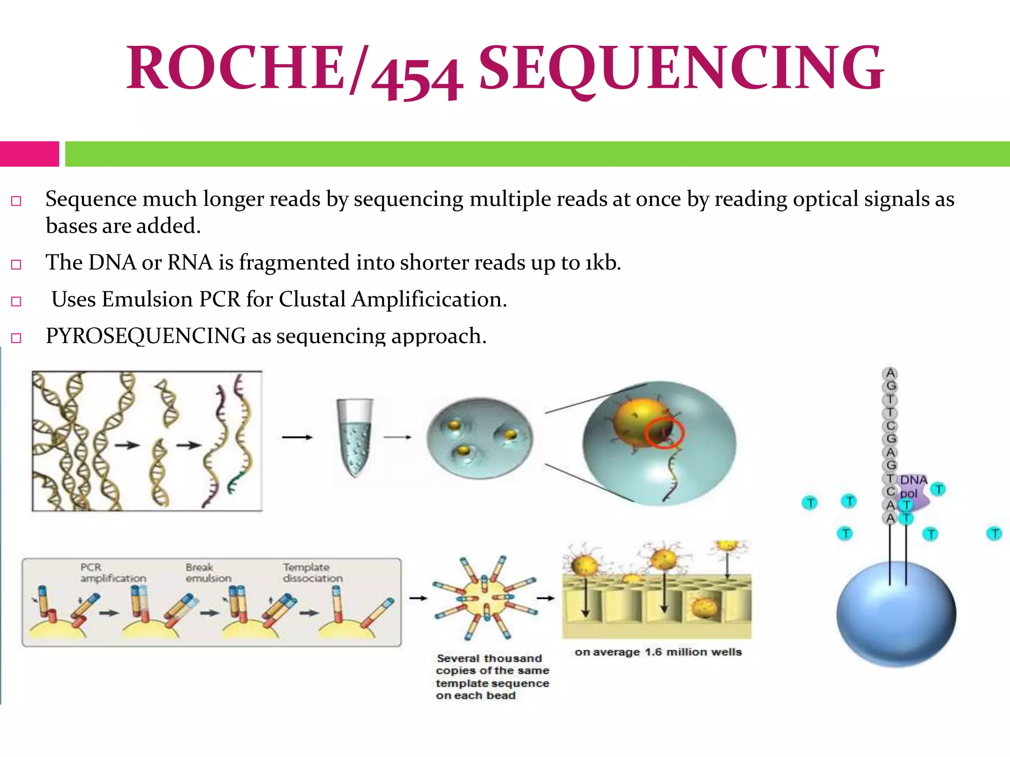 ROCHE/454 SEQUENCING
 Sequence much longer reads by sequencing multiple reads at once by reading optical signals as
bases are added.
 The DNA or RNA is fragmented into shorter reads up to 1kb.
 Uses Emulsion PCR for Clustal Amplificication.
 PYROSEQUENCING as sequencing approach.
 