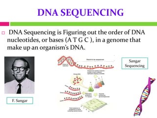 DNA SEQUENCING
 DNA Sequencing is Figuring out the order of DNA
nucleotides, or bases (A T G C ), in a genome that
make up an organism’s DNA.
F. Sangar
Sangar
Sequencing
 