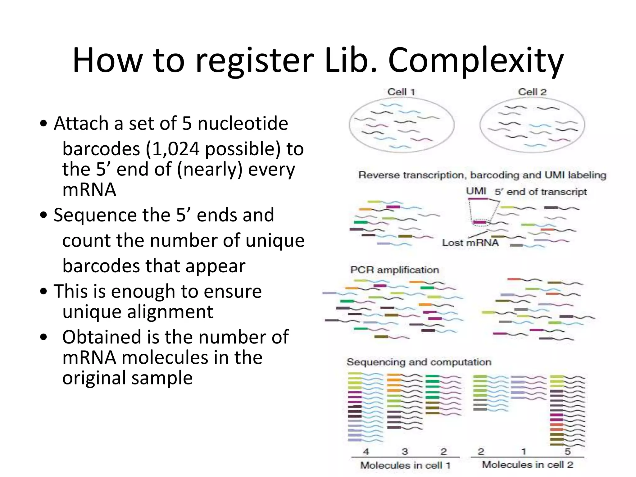 How to register Lib. Complexity
• Attach a set of 5 nucleotide
barcodes (1,024 possible) to
the 5’ end of (nearly) every
mRNA
• Sequence the 5’ ends and
count the number of unique
barcodes that appear
• This is enough to ensure
unique alignment
• Obtained is the number of
mRNA molecules in the
original sample
 