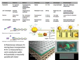 ● Polymerase releases H+
during base incorporation
● H+ is measured by a
semi‐conductor wafer
● Essentially a massively
parallel pH meter
 