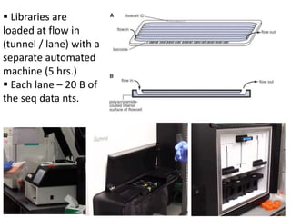  Libraries are
loaded at flow in
(tunnel / lane) with a
separate automated
machine (5 hrs.)
 Each lane – 20 B of
the seq data nts.
 