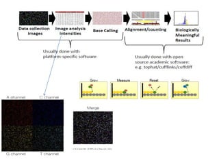 Next generation sequencing methods (final edit) | PPTX