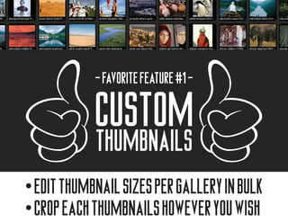 - favorite feature #1 -




• edit thumbnail sizes per gallery in bulk
• crop each thumbnails however you wish
 
