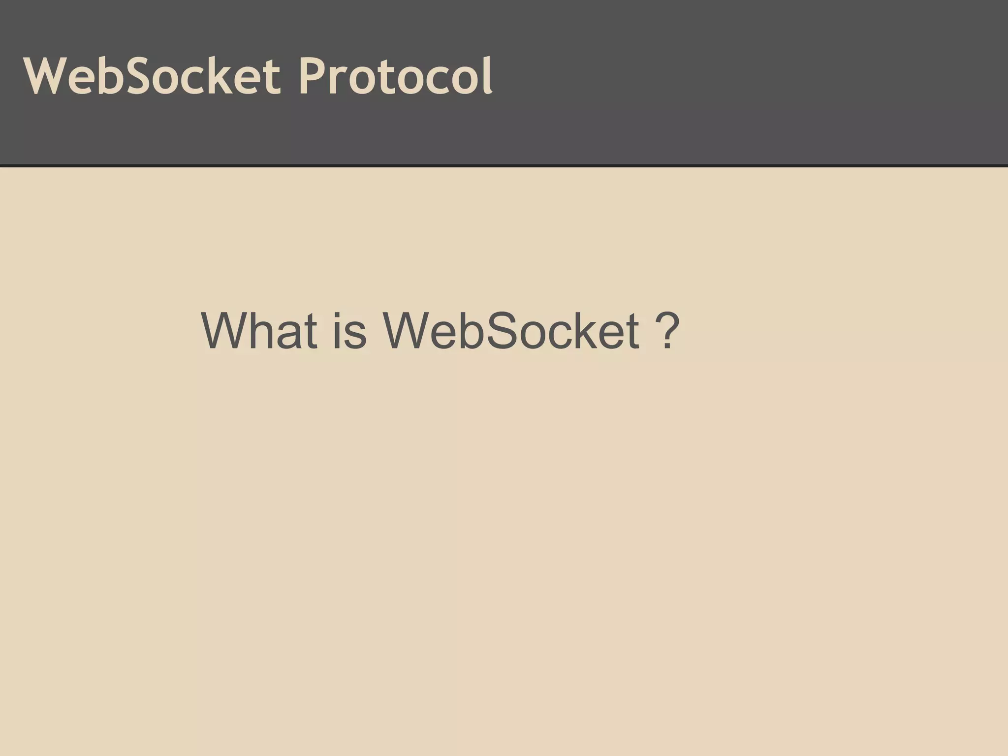 WebSocket Protocol
What is WebSocket ?
 