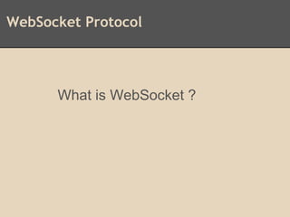 WebSocket Protocol
What is WebSocket ?
 