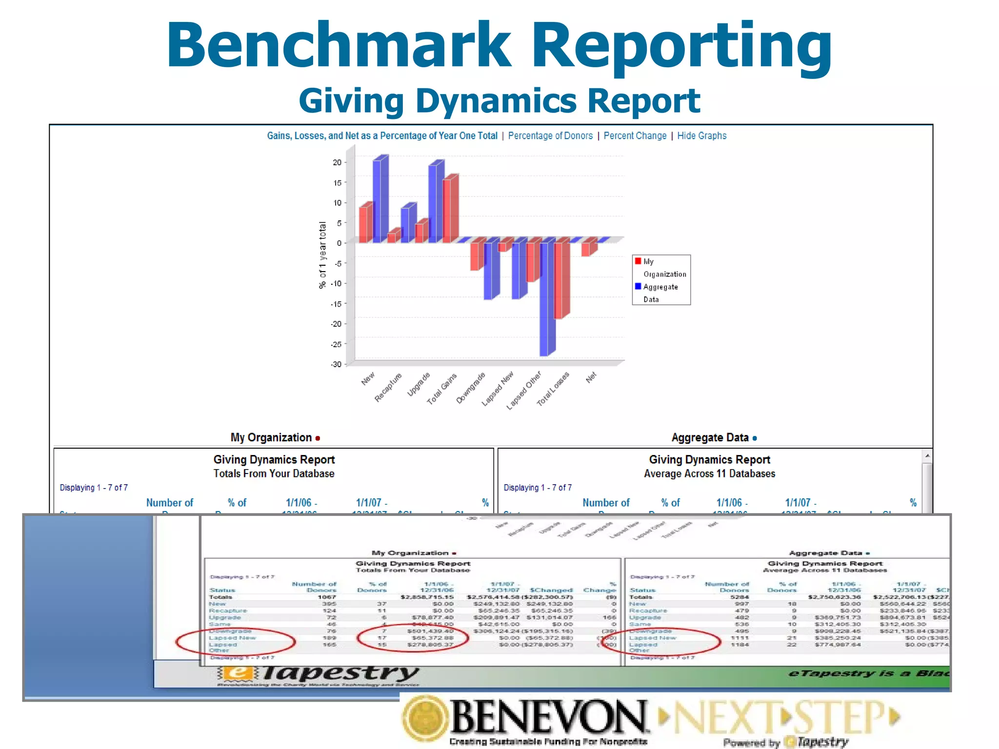 Benchmark Reporting Giving Dynamics Report 