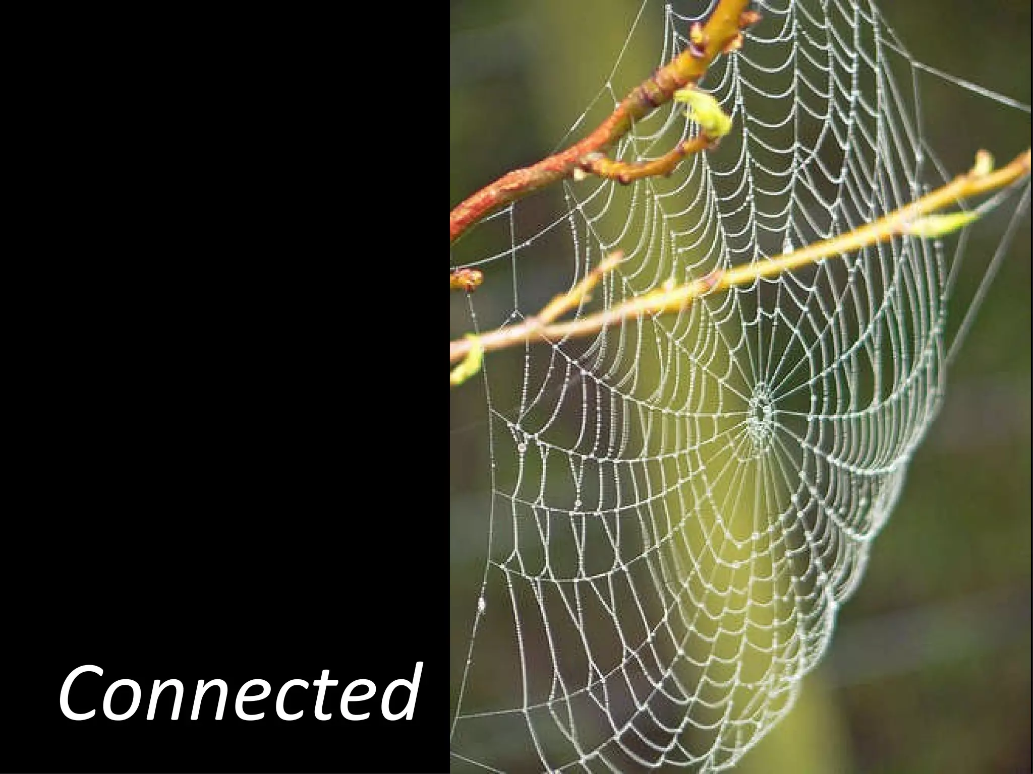 Connected 