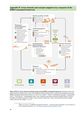 IPBES Nexus Assessment Report SPM december 2024 | PDF