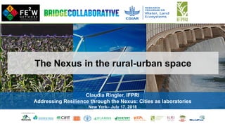 Claudia Ringler, IFPRI
Addressing Resilience through the Nexus: Cities as laboratories
New York– July 17, 2018
The Nexus in the rural-urban space
 