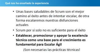 Qué nos ha enseñado la experiencia
 