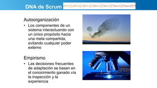 DNA de Scrum
Autoorganización
• Los componentes de un
sistema interactuando con
un único propósito hacia
una meta compartida,
evitando cualquier poder
externo
Empirismo
• Las decisiones frecuentes
de adaptación se basan en
el conocimiento ganado vía
la inspección y la
experiencia
 