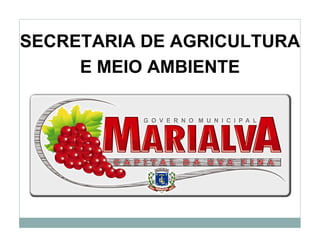 SECRETARIA DE AGRICULTURA
E MEIO AMBIENTE
 