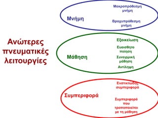 Ανώτερες
πνευματικές
λειτουργίες
Μνήμη Βραχυπρόθεσμη
μνήμη
Μακροπρόθεσμη
μνήμη
Μάθηση
Ευαισθητο
ποίηση
Συνειρμική
μάθηση
Αντίληψη
Συμπεριφορά
Ενστικτώδης
συμπεριφορά
Συμπεριφορά
που
τροποποιείται
με τη μάθηση
Εξοικείωση
 