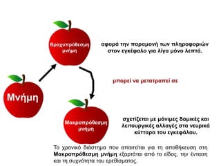 Μνήμη
Βραχυπρόθεσμη
μνήμη
αφορά την παραμονή των πληροφοριών
στον εγκέφαλο για λίγα μόνο λεπτά.
μπορεί να μετατραπεί σε
Μακροπρόθεσμη
μνήμη
σχετίζεται με μόνιμες δομικές και
λειτουργικές αλλαγές στα νευρικά
κύτταρα του εγκεφάλου.
Το χρονικό διάστημα που απαιτείται για τη αποθήκευση στη
Μακροπρόθεσμη μνήμη εξαρτάται από το είδος, την ένταση
και τη συχνότητα του ερεθίσματος.
 