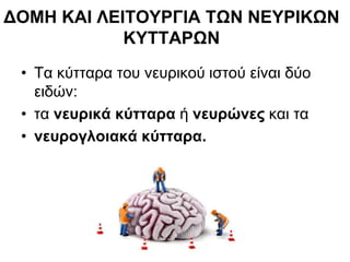 ΔΟΜΗ ΚΑΙ ΛΕΙΤΟΥΡΓΙΑ ΤΩΝ ΝΕΥΡΙΚΩΝ
ΚΥΤΤΑΡΩΝ
• Τα κύτταρα του νευρικού ιστού είναι δύο
ειδών:
• τα νευρικά κύτταρα ή νευρώνες και τα
• νευρογλοιακά κύτταρα.
 