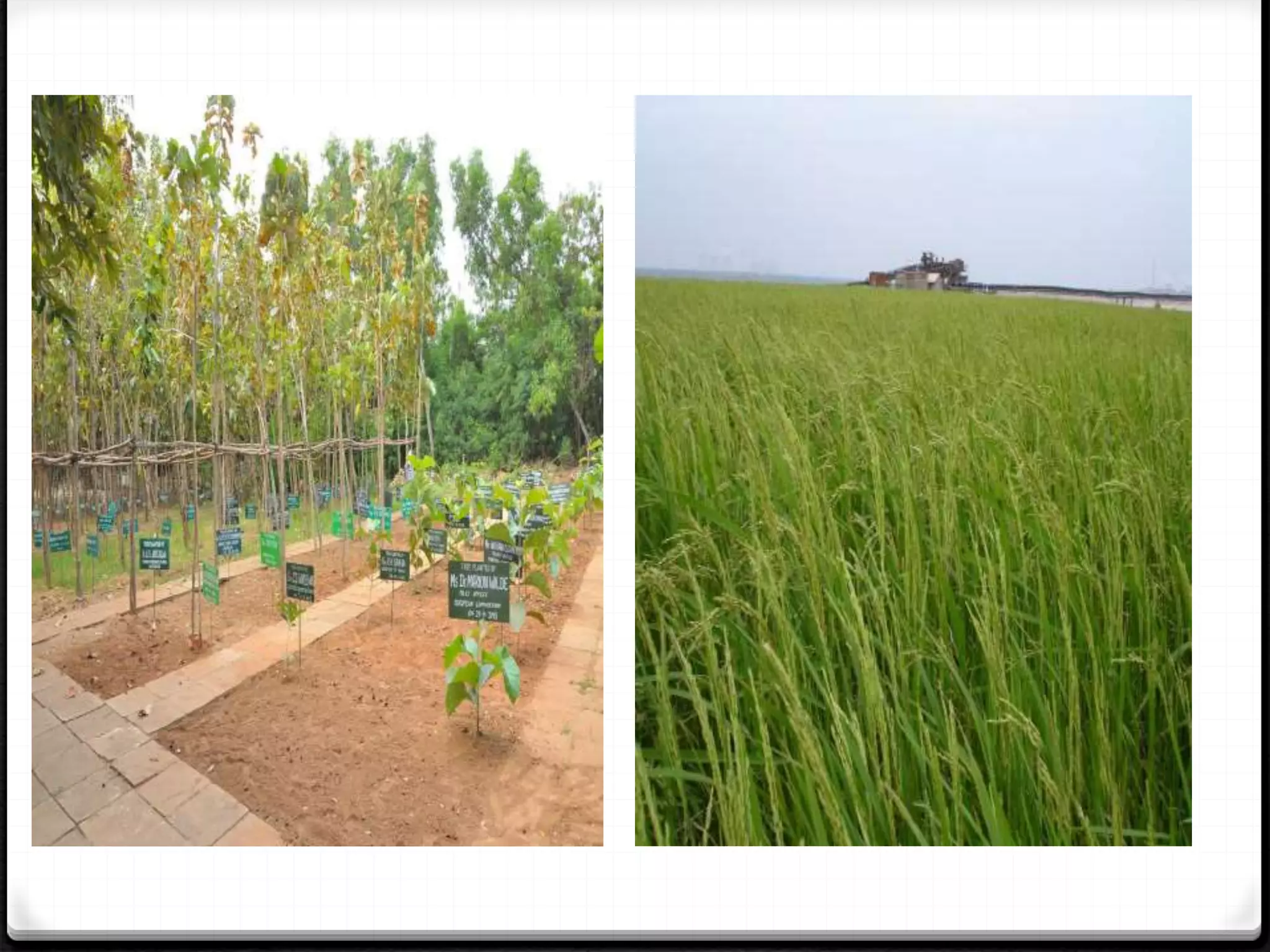 Neyveli lignite corporation | PPTX