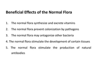 Beneficial Effects of the Normal Flora
1. The normal flora synthesize and excrete vitamins
2. The normal flora prevent colonization by pathogens
3. The normal flora may antagonize other bacteria
4. The normal flora stimulate the development of certain tissues
5. The normal flora stimulate the production of natural
antibodies
 