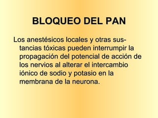 BLOQUEO DEL PAN Los anestésicos locales y otras sus-tancias tóxicas pueden interrumpir la propagación del potencial de acción de los nervios al alterar el intercambio iónico de sodio y potasio en la membrana de la neurona. 