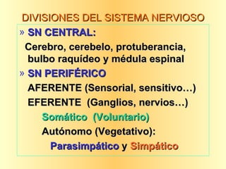 DIVISIONES DEL SISTEMA NERVIOSO SN CENTRAL: Cerebro, cerebelo, protuberancia, bulbo raquídeo y médula espinal SN PERIFÉRICO AFERENTE (Sensorial, sensitivo…) EFERENTE  (Ganglios, nervios…) Somático  (Voluntario) Autónomo (Vegetativo):   Parasimpático  y  Simpático 