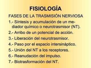 FISIOLOGÍA FASES DE LA TRASMISIÓN NERVIOSA 1.- Síntesis y acumulación de un me-diador químico o neurotrasmisor (NT). 2.- Arribo de un potencial de acción. 3.- Liberación del neurotrasmisor. 4.- Paso por el espacio intersináptico. 5.- Unión del NT a los receptores. 6.- Reanudación del impulso. 7.- Biotrasformación del NT. 