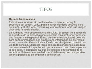 TIPOS
• Ópticos transmisivos
• Esta técnica funciona sin contacto directo entre el dedo y la
superficie del sensor. La luz pasa a través del dedo desde la cara
de la uña, y al otro lado, mientras que una cámara toma una imagen
directa de la huella dactilar.
• La humedad no produce ninguna dificultad. El sensor ve a través de
la superficie de la piel sobre una superficie más profunda y produce
una imagen multiespectral. El uso de diferentes longitudes de onda
para generar imágenes nos proporciona información de diferentes
estructuras subcutáneas, indicación de que el objeto en cuestión es
un dedo genuino. El uso de filtros polarizados ortogonales asegura
que solamente la luz que tiene importancia a su paso bajo la piel es
la que pasa, y bloquea la luz que se reflejaría directamente de la
superficie. Solamente unos dedos artificiales muy precisos podrían
tener la posibilidad de engañar a este sensor.
 