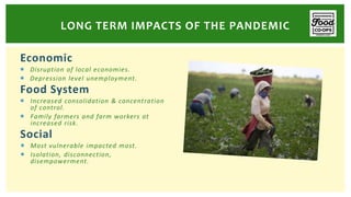 Economic
 Disruption of local economies.
 Depression level unemployment.
Food System
 Increased consolidation & concentration
of control.
 Family farmers and farm workers at
increased risk.
Social
 Most vulnerable impacted most.
 Isolation, disconnection,
disempowerment.
LONG TERM IMPACTS OF THE PANDEMIC
 