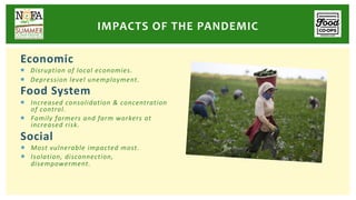 Economic
¡ Disruption of local economies.
¡ Depression level unemployment.
Food System
¡ Increased consolidation & concentration
of control.
¡ Family farmers and farm workers at
increased risk.
Social
¡ Most vulnerable impacted most.
¡ Isolation, disconnection,
disempowerment.
IMPACTS OF THE PANDEMIC
 