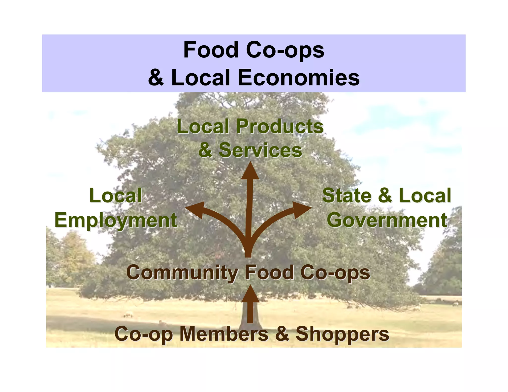Food Co-ops
       & Local Economies

         Local Products
           & Services

  Local               State & Local
Employment            Government

     Community Food Co-ops


    Co-op Members & Shoppers
 