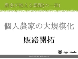 個人農家の大規模化
  販路開拓
   Copyright 2012 agri-note.jp
 